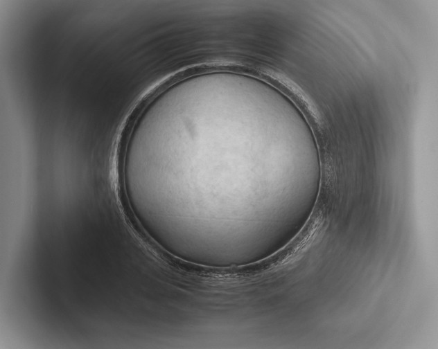 X0000103130935200809051606