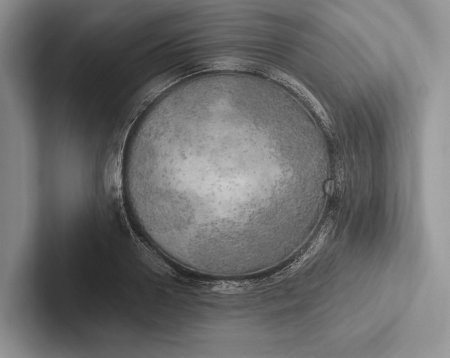 X0000103130938200809051606