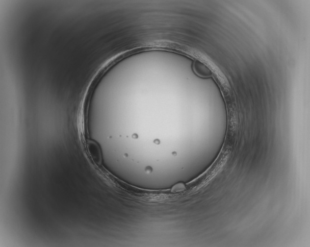 X0000103130940200809051606