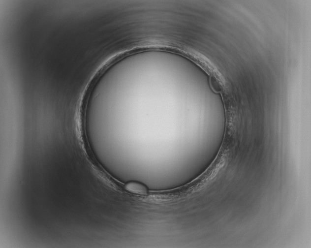 X0000103130942200809051606