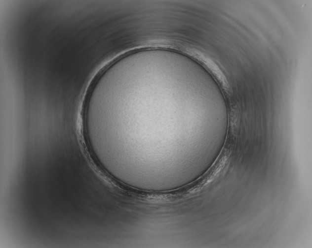 X0000103130944200809051606