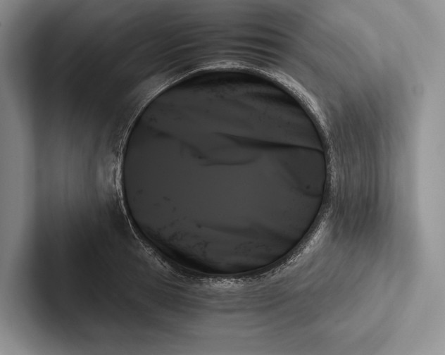 X0000103130945200809051606