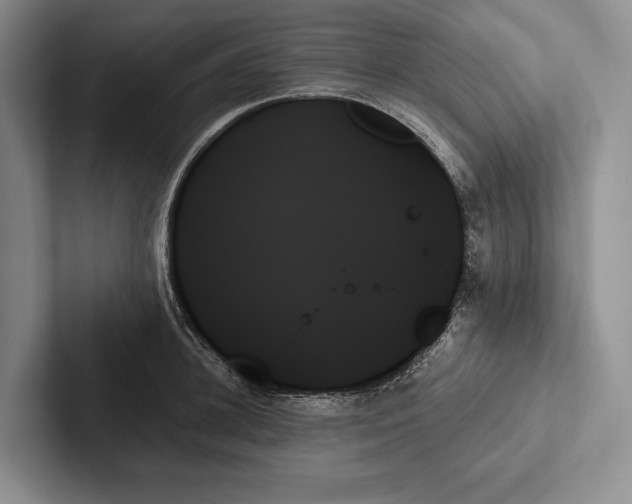 X0000103130948200809051606