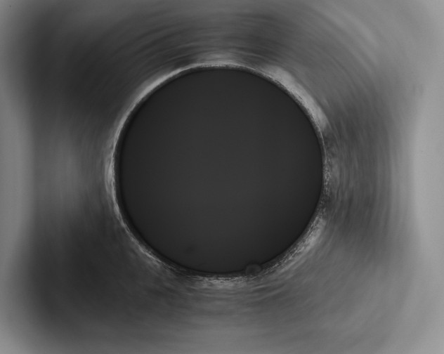 X0000103130951200809051606