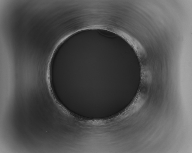 X0000103130952200809051606