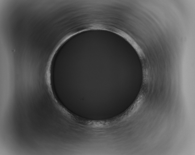 X0000103130955200809051606