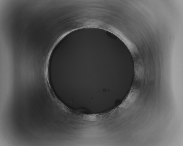 X0000103130956200809051606