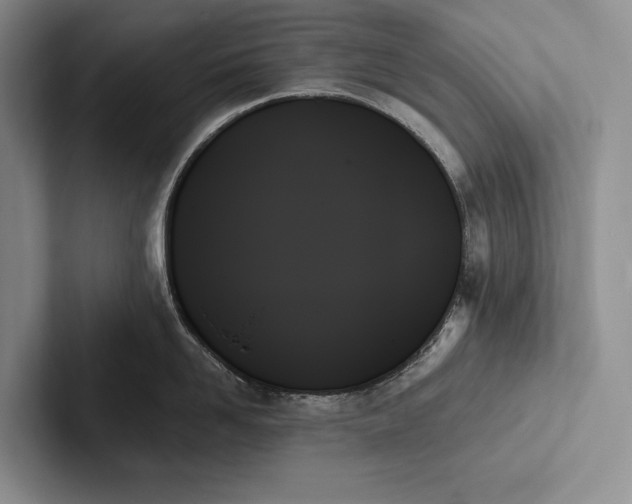 X0000103130958200809051606