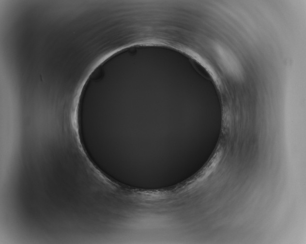 X0000103130959200809051606