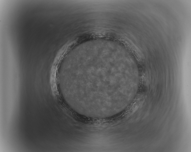 X0000103130961200809051606