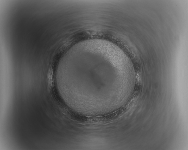 X0000103130963200809051606