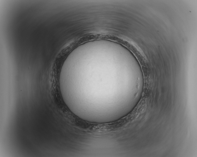 X0000103130967200809051605