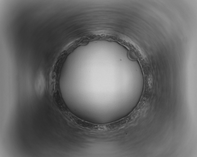 X0000103130968200809051605