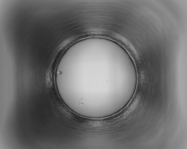 X0000103130970200809051605