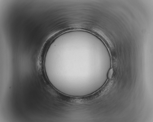 X0000103130971200809051605