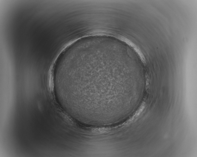 X0000103130973200809051605