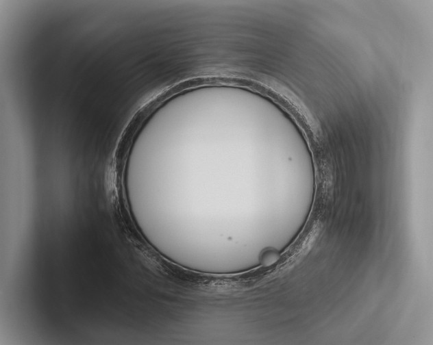 X0000103130974200809051605