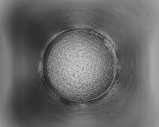 X0000103130975200809051605