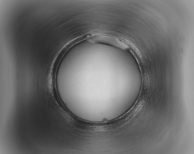 X0000103130976200809051605
