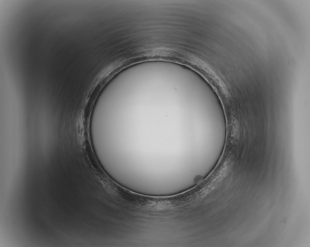 X0000103130978200809051605