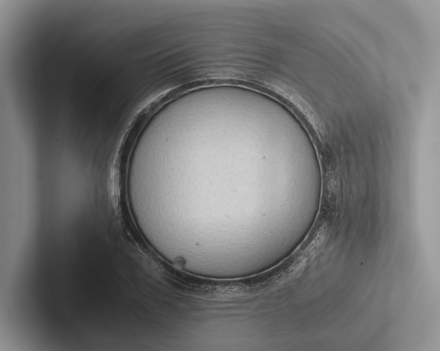 X0000103130979200809051605