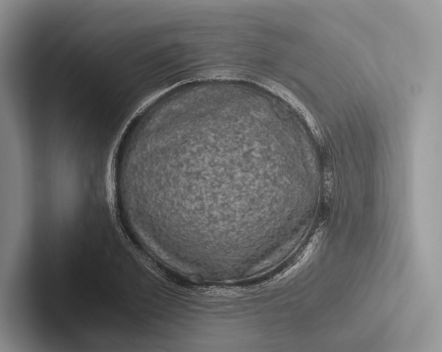 X0000103130981200809051605