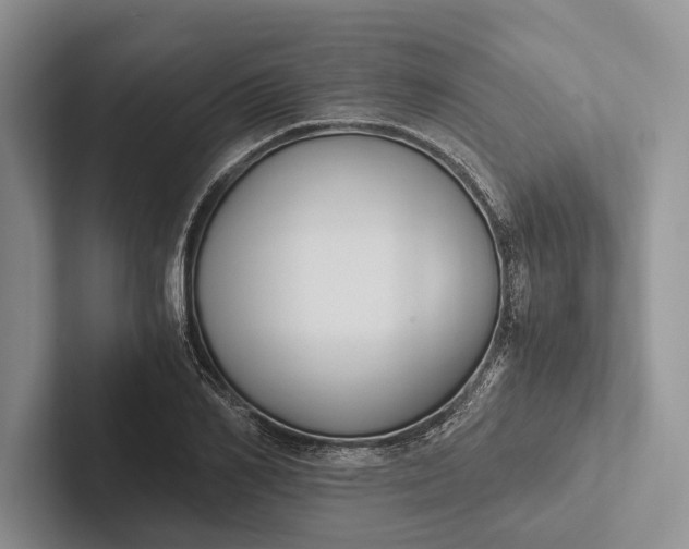 X0000103130982200809051605