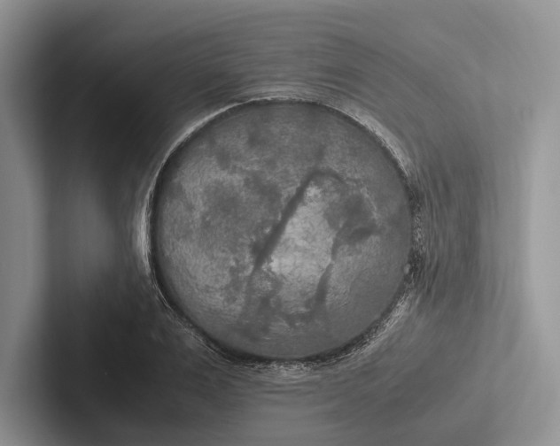 X0000103130983200809051605