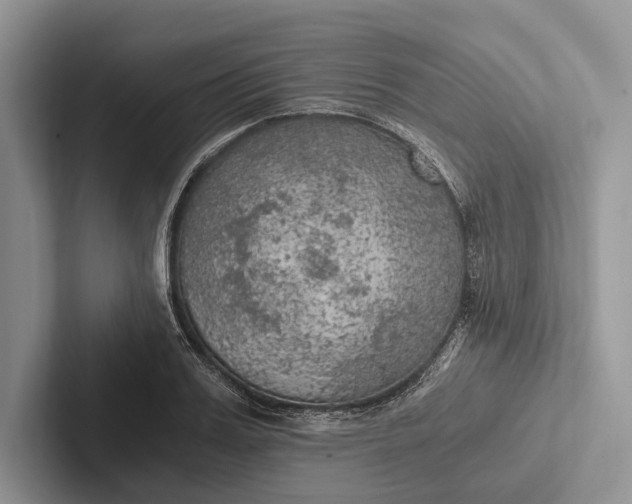 X0000103130987200809051605