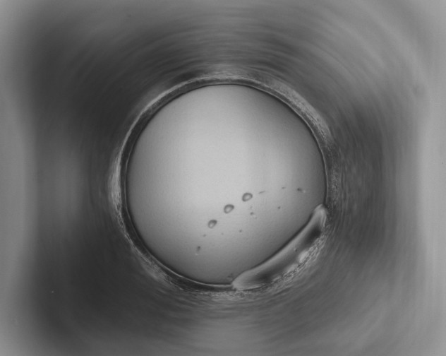 X0000103130988200809051605
