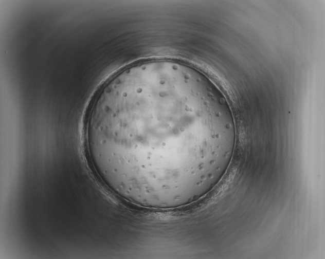 X0000103130990200809051605