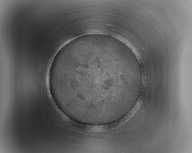 X0000103130991200809051605