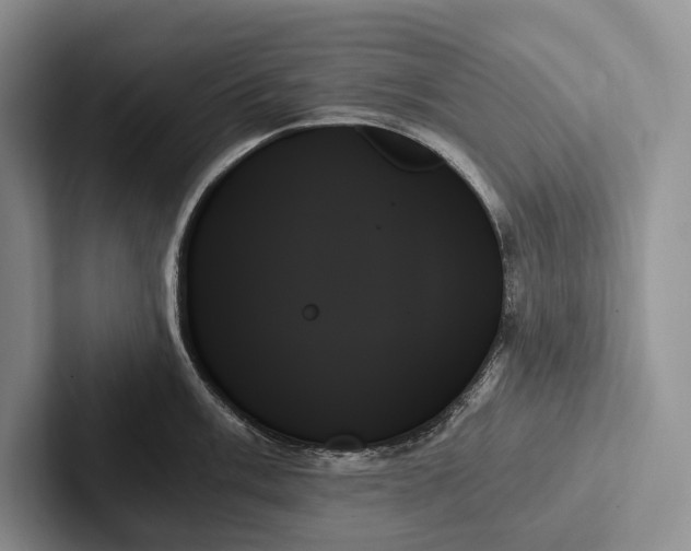 X0000103131003200809051605