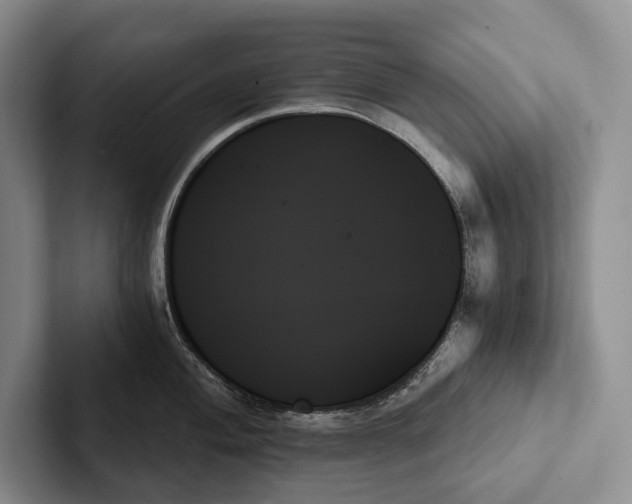 X0000103131004200809051605