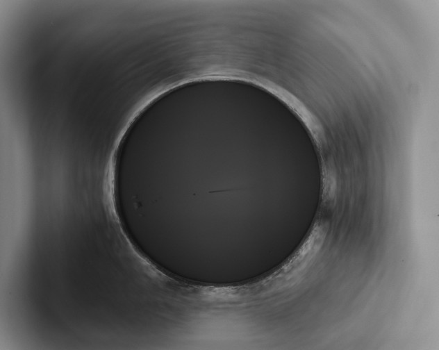 X0000103131006200809051605