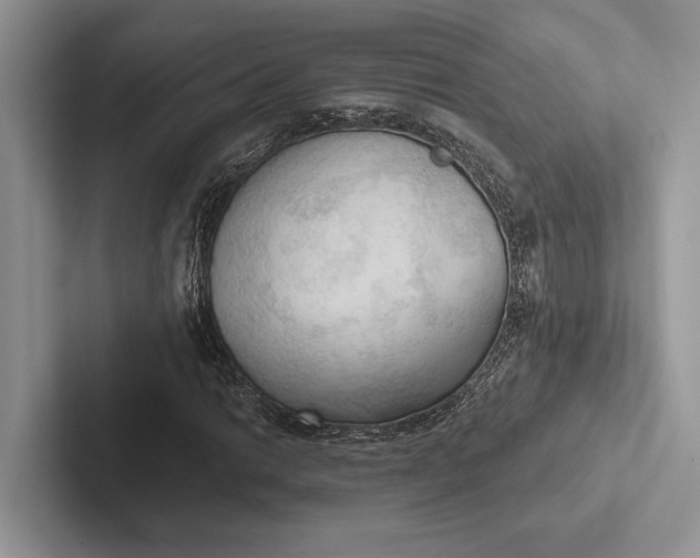 X0000103131014200809051604