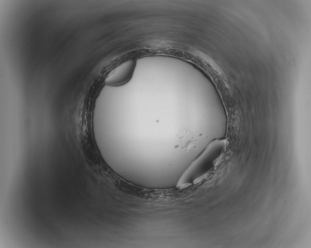 X0000103131016200809051604