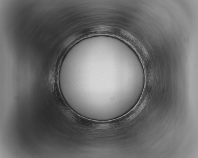 X0000103131017200809051604