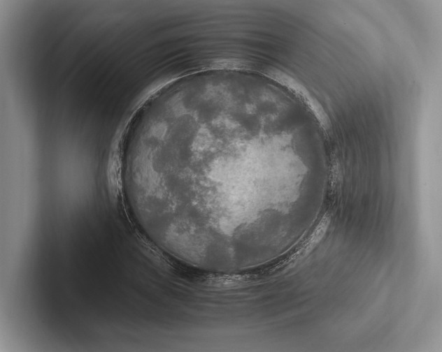 X0000103131019200809051604