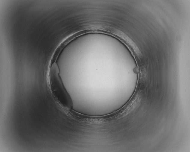 X0000103131020200809051604