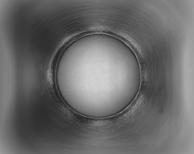 X0000103131022200809051604