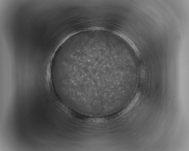X0000103131023200809051604