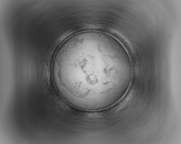 X0000103131025200809051604