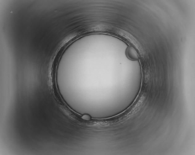 X0000103131026200809051604