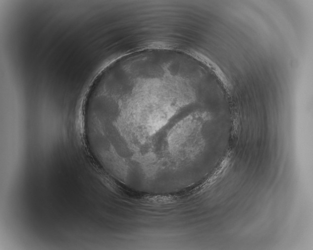 X0000103131027200809051604