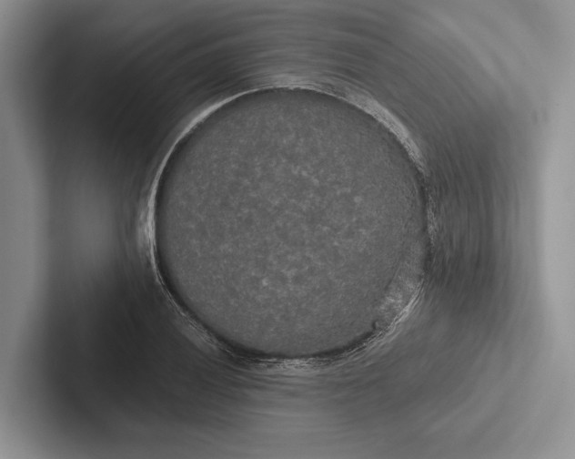 X0000103131028200809051604