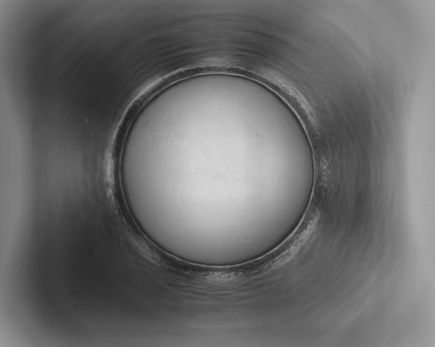 X0000103131029200809051604
