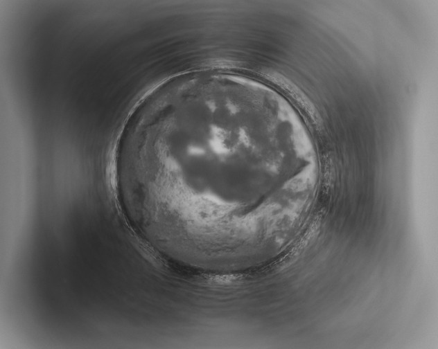 X0000103131031200809051605