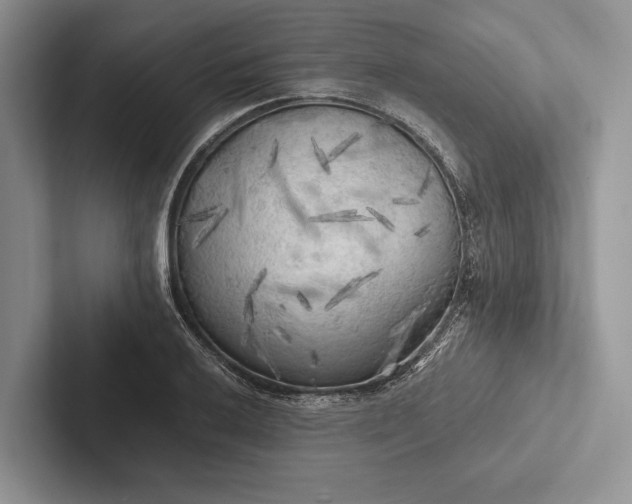 X0000103131032200809051605