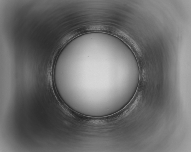 X0000103131033200809051605